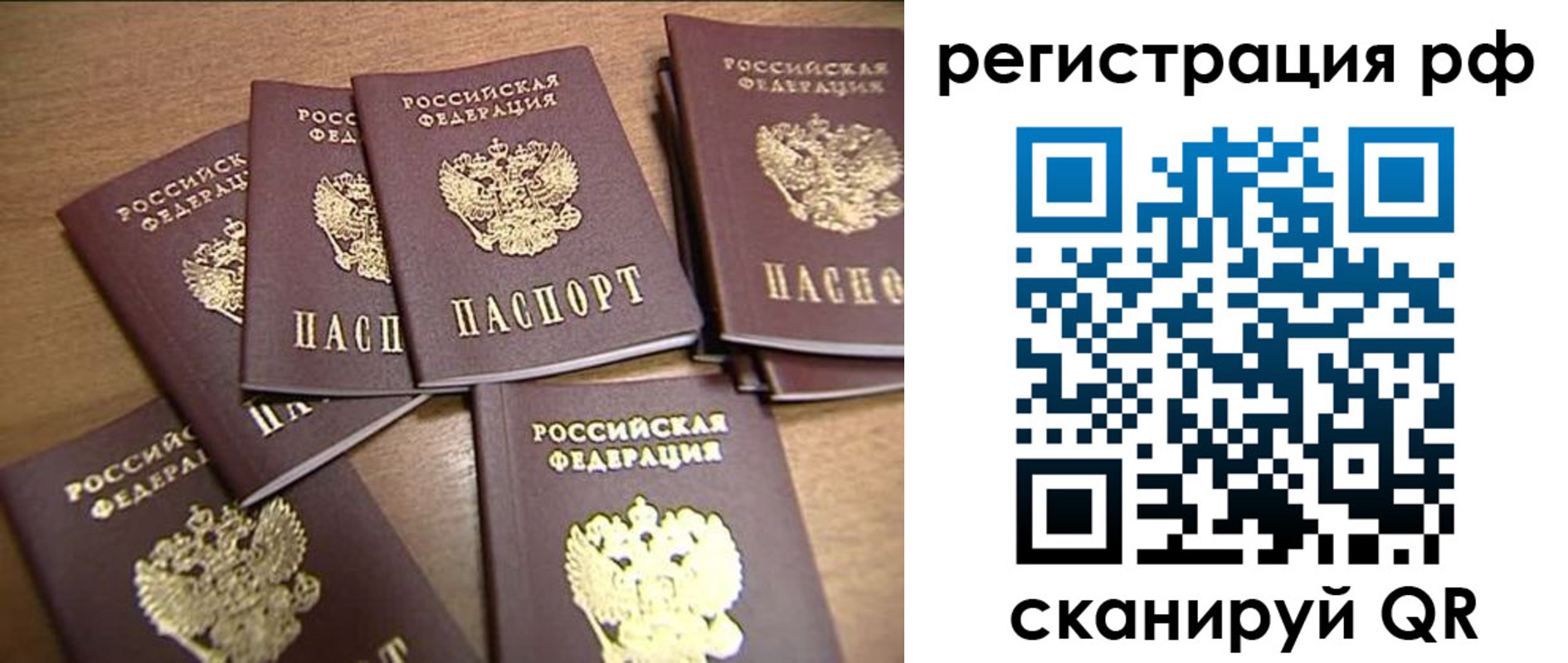 найти адрес прописки в Белой Холунице